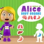 World of Alice   Body Organs